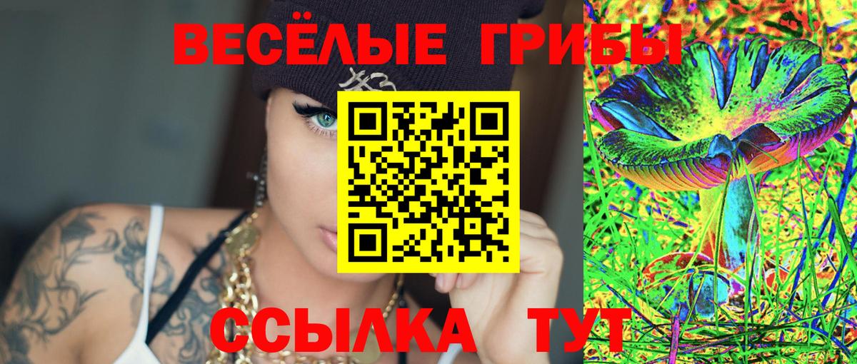 Галлюциногенные грибы Cubensis Дедовск